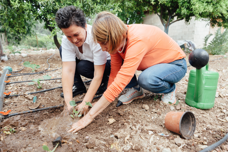 afbeelding bij Klusvragen, tuinhulp, vervoersvragen….