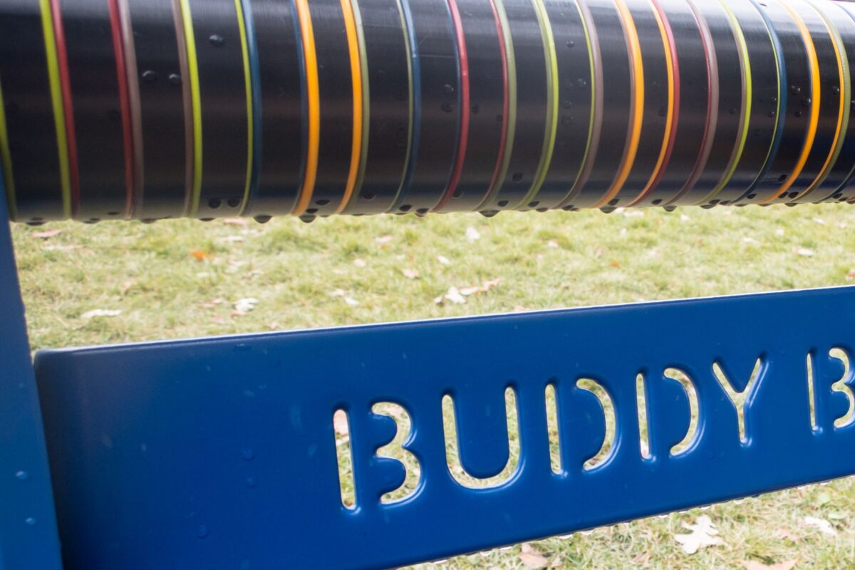 afbeelding bij Klessebes