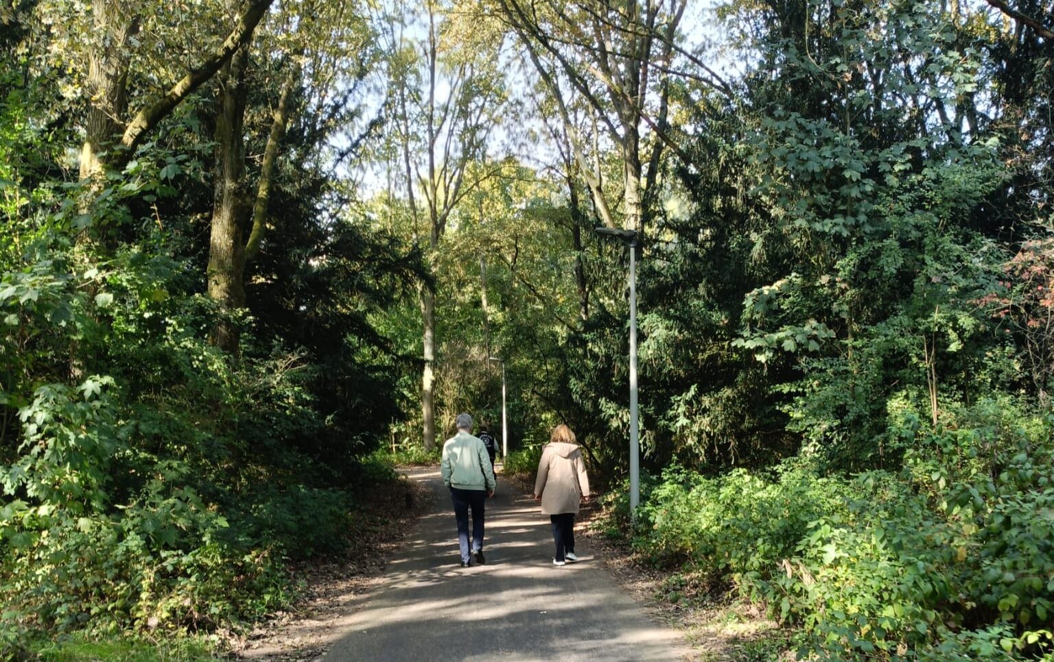 afbeelding bij Coördinator wandelmaatjes