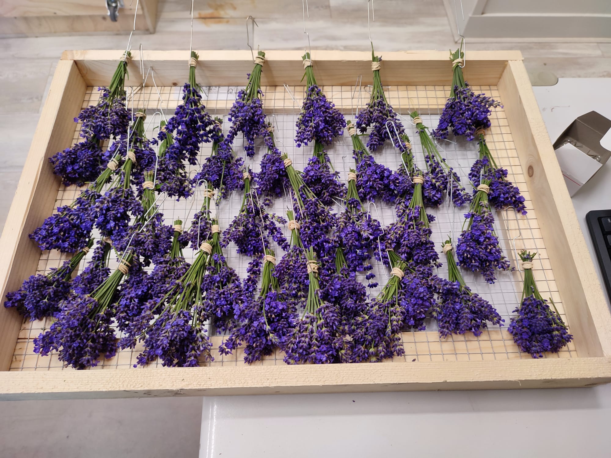 afbeelding bij Kruiden/bloemen- mengels maken