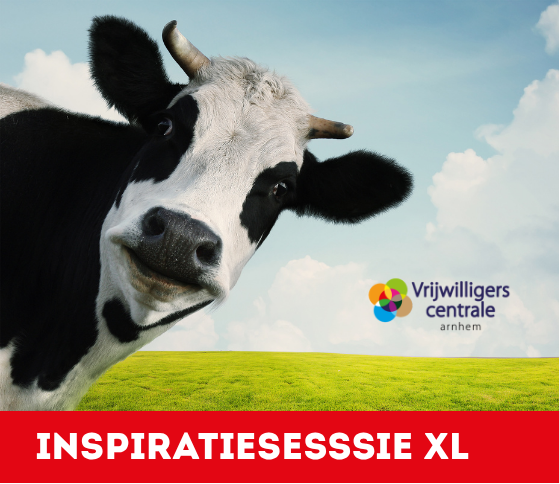 afbeelding bij 12 oktober 2026 Inspiratiesessie XL ‘Over koetjes en kalfjes’