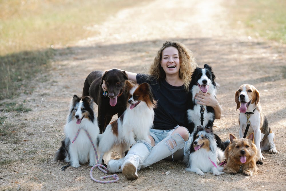 afbeelding bij Dierenvriend voor lieve hulphond Aron