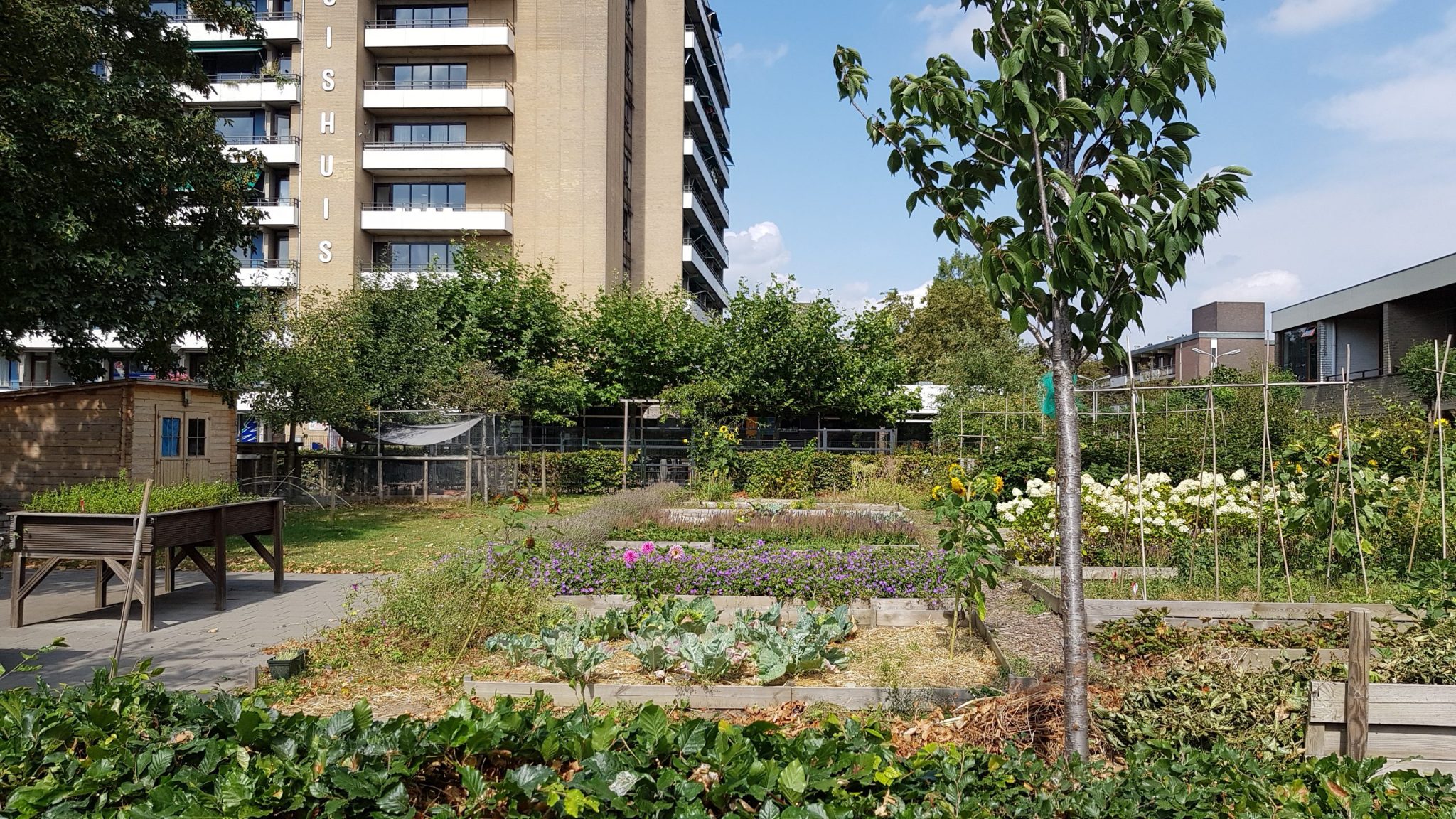 afbeelding bij Tuinmaatje – Philabruis Arnhem